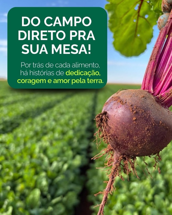 Publicação no Instagram